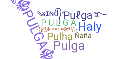 Segvārds - Pulga