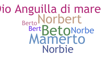 Segvārds - Norberto