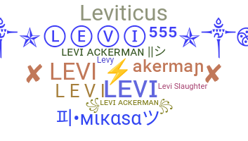 Segvārds - Levi