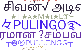 Segvārds - Pulingo