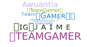 Segvārds - TeamGamer