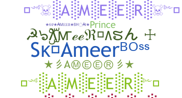 Segvārds - Ameer