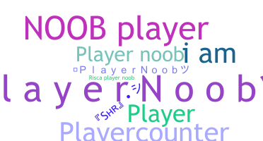 Segvārds - PlayerNoob