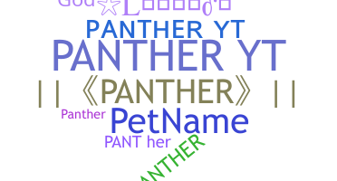 Segvārds - PantherYT