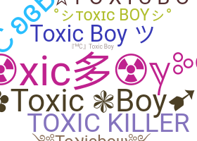 Segvārds - toxicboy