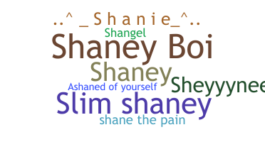 Segvārds - Shane