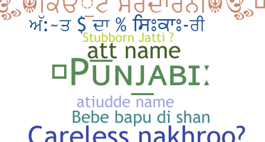 Segvārds - Punjabi
