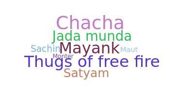 Segvārds - Hindinames
