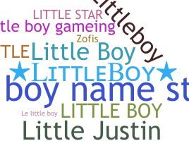 Segvārds - littleboy