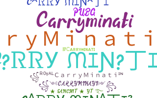 Segvārds - CarryMinati
