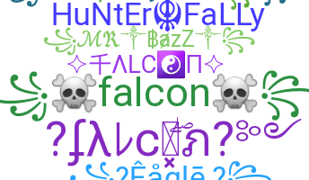 Segvārds - Falcon