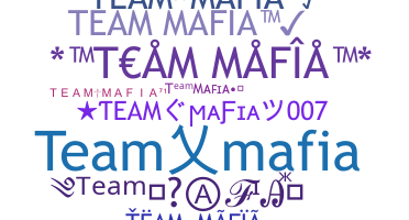 Segvārds - TeamMafia