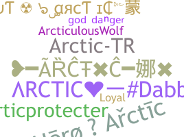 Segvārds - Arctic