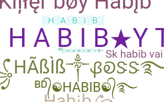 Segvārds - Habib