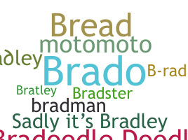 Segvārds - Bradley