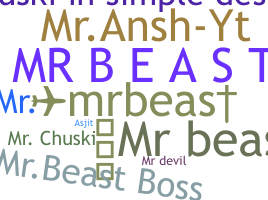 Segvārds - mr.beast