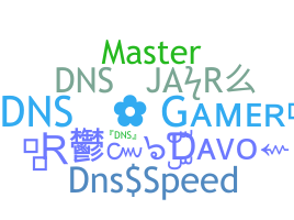 Segvārds - dnS