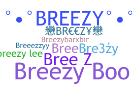 Segvārds - Breezy