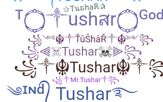 Segvārds - Tushar