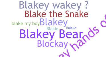 Segvārds - Blake