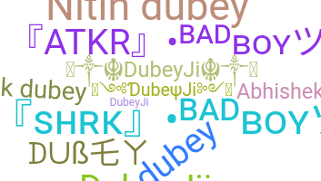 Segvārds - Dubey