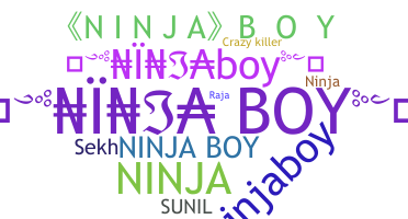 Segvārds - NinjaBoy