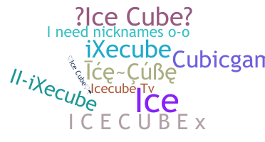 Segvārds - icecube