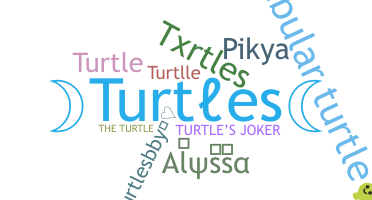 Segvārds - Turtles