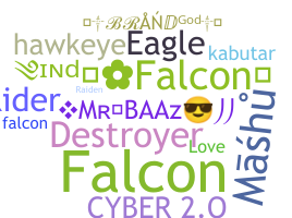 Segvārds - Falcons