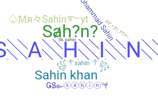 Segvārds - Sahin